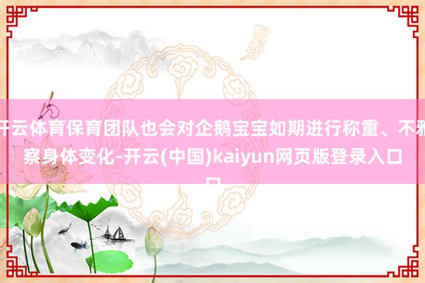 开云体育保育团队也会对企鹅宝宝如期进行称重、不雅察身体变化-开云(中国)kaiyun网页版登录入口