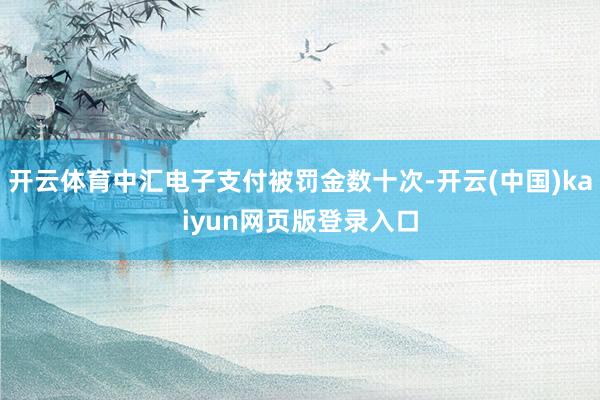开云体育中汇电子支付被罚金数十次-开云(中国)kaiyun网页版登录入口