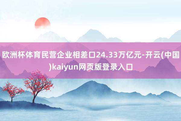 欧洲杯体育民营企业相差口24.33万亿元-开云(中国)kaiyun网页版登录入口